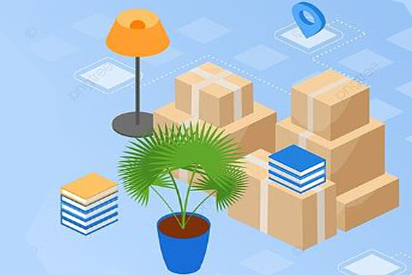 Trinity Cargo India